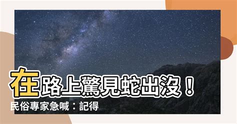 路上 看 到蛇代表什麼|【在路上看到蛇代表什麼】夜路驚魂！在路上看到蛇代表什麼？